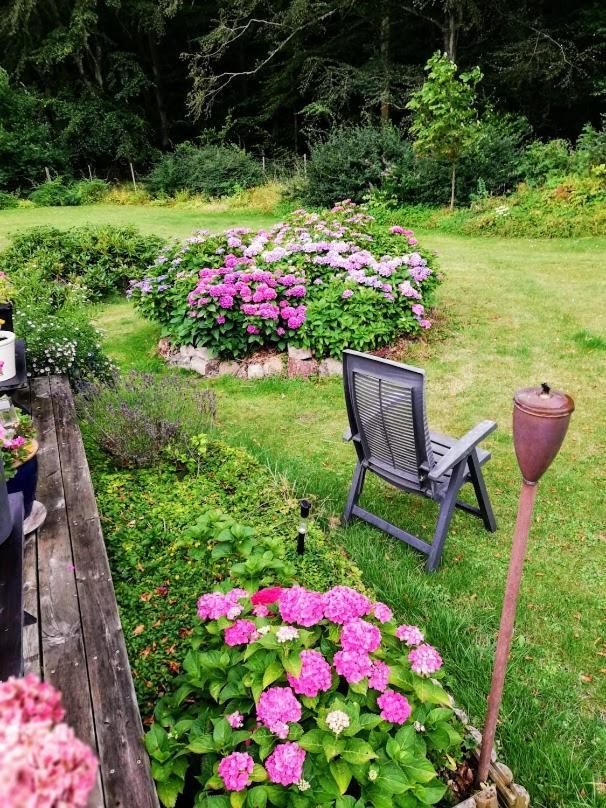 The Foresters House- Idyllic Tranquility- Non Smokers Only Store Heddinge Luaran gambar
