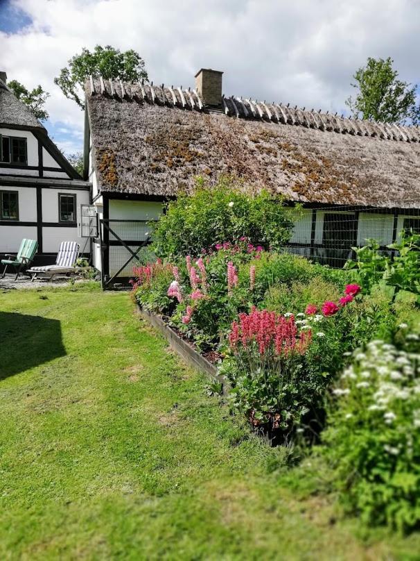 The Foresters House- Idyllic Tranquility- Non Smokers Only Store Heddinge Luaran gambar