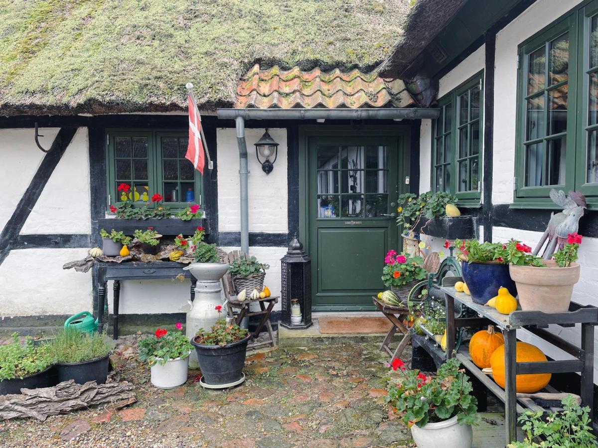 The Foresters House- Idyllic Tranquility- Non Smokers Only Store Heddinge Luaran gambar