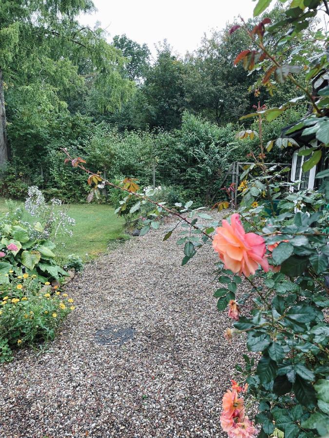 The Foresters House- Idyllic Tranquility- Non Smokers Only Store Heddinge Luaran gambar